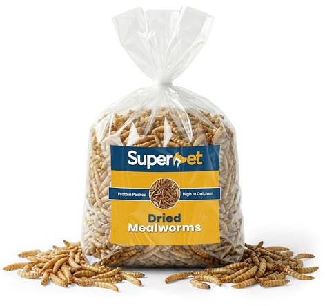 Superpet Dried Mealworms for Wild Birds, High-Protein Garden Bird Food 2kg | For Robins, Blackbirds & Starlings, Suitable for Chickens & Fish, Premium Year-Round Feed, Ideal for Bird Feeders & Wildlife