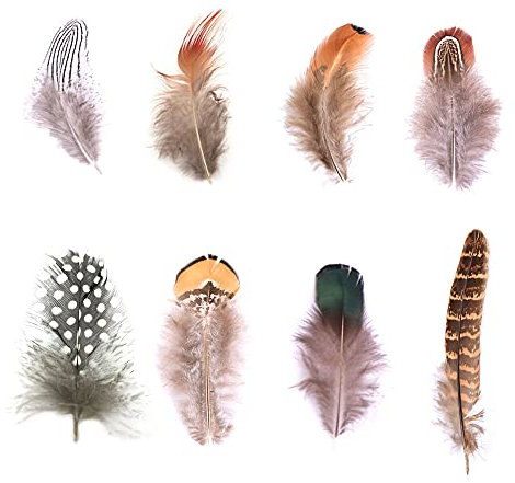 Dtoterul 220 Stück Natürlich Federn, Federn zum basteln Natur, bastelfedern fasanenfedern, 8 Stile, für Dream Catcher Crafts,Kostüme, Hüte, osterdeko(Braun)