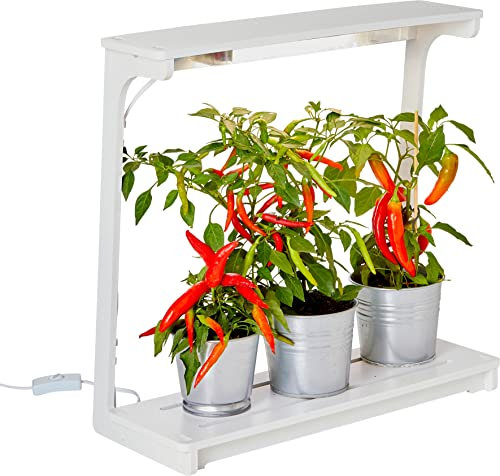 Northpoint LED Pflanzenlampe Pflanzenleuchte Kräutergarten Innengarten Gewächslampe Pflanzenlicht 14W 850 Lumen Grow Timer (Viereck)