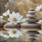 artissimo, Glasbild, 30x30cm, AG5511A, Zen und Spa: Steine, Buddha, Bild aus Glas, Wandbild Wohnzimmer modern, weiß beige, hell