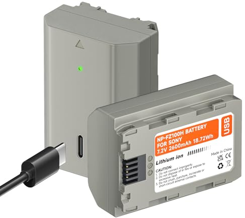 2-pack NP-FZ100 kamerabatteri 2 600 mAh med typ C snabbladdning för Sony A7III, Alpha A7R III, A9, A7R IV, A7R3, A6600, A7S III, A7RIV, A9R, A9S kamera-ersättningsbatteri
