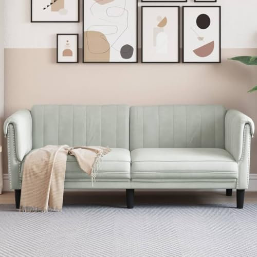 ShGaxin Ljusgrå sammet 2-sits soffa, vardagsrumssoffor, relaxsoffa - 372575