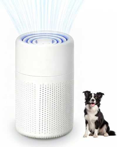 Air Purifier for Bedroom,H13 HEPA Filter with with Aromatherapy Function for Allergies,Dust,Pet Dander,Odor & Smoke,Air Frenshener, Quiet 37dB Sleep Mode,Mini Air Cleaner for Home,Office & Desktop