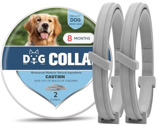 Dog Collar,Dog Collars Medium, Collars for Small, Large Dogs,Adjustable Collar 8 Months -2P