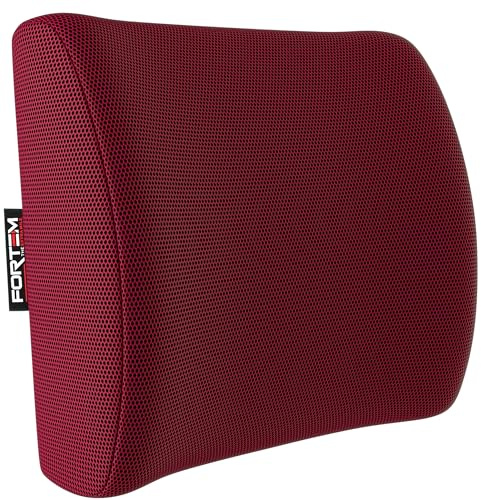 FORTEM Cojin Lumbar Silla Oficina - Almohada Lumbar con Espuma Viscoelástica de Alta Densidad y Funda Lavable - Cojin Ergonómico para Gaming, Trabajo o Viajes Largos