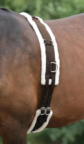 Best On Horse Fleece Padded Lunge Roller - Pony Horse Lunging Equipment with Adjustable Girth - Cob Under Belly Belt Strap for Training Schooling Outdoor Breaking Stable Yard (Cob, Brown)