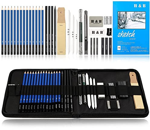 H & B 35 Stück Bleistifte Professionelle Skizzierstifte Set Skizzieren Zeichnen Bleistifte Profi Art Set für Künstler Anfänger Schüler und Kit Tasche (35 Stück)