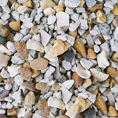 BusyBeaks Mixed Poultry Grit | Premium Quality Natural Feed Mix | Added Oyster Shell | Rich in Vitamins and Calcium | A Nutritious Supplement Food | Strong Beaks, Tough Bones & Large Eggs (20kg)