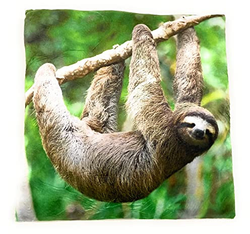 Onwomania Perezoso lindo cojín de felpa, Almohada, Almohadones Cama, para sofá o cama como decoración de 35 x 35 cm