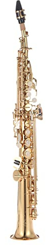 Btuty Brass Straight Soprano Sax Saxophone Bb B Flat Woodwind Instrument Natural Shell Key Carve Pattern with Carrying Case Gloves Cleaning Cloth Straps Cleaning Rod