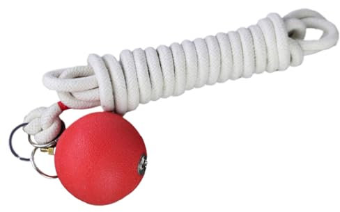 Rope Dart Trainer Martial Arts Training Equipment Rope Dart Hammer For Martial Arts Training Tool For Beginners & Pros Great For Strength & Coordination