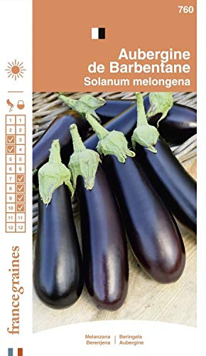 France Graines - Aubergine de Barbentane