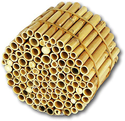 BeeCasa by Hiss Reet® Schilfrohrhalme EXTRA | Naturbelassener Bund | Insektenhotel & Bienenhotel Füllmaterial | Niströhren & Nisthülsen für Wildbienen