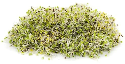 Italian Sprout - Semi per germogli - Pak Choi Panda - 1 kg