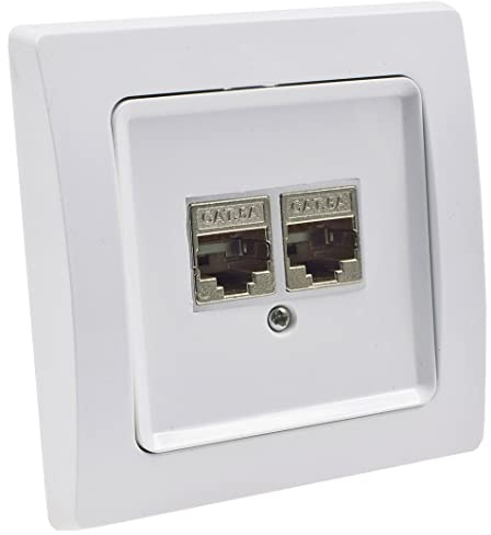 Delphi Netzwerk-Dose 2-fach CAT6a, mit 1-fach Rahmen Unterputz Netzwerkdose Geschirmt Metall Gehäuse Weiß