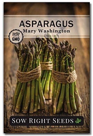 Sow Right Seeds - Mary Washington Asparagus Seed for Planting Perennial