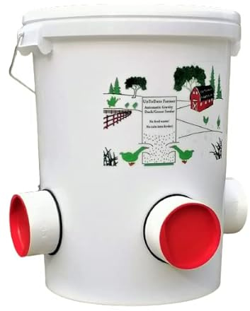 Mangiatoia Automatica per Anatre/Oche a prova di pioggia, a prova di topo (17 KG)