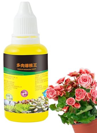 Alimento Suculento, Fertilizante Suculento Plantas En Maceta De Interior | Abono Líquido para Cactus 50ml,Planta crecimiento de raíces natural, líquido, rápido para s, ior