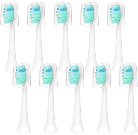 10 Pièces Blanc Tête de Brosse à Ultrasons, Têtes de Brosse à Dents Électriques avec Capuchon, Tête de Brosse à Dents de Rechange, Tête Doux Standard pour Philips Sonicare Brosse à Dents Électrique