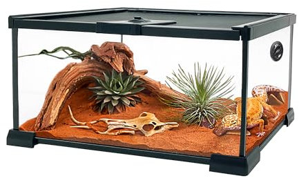 KAKOOTI Reptile Terrarium KAKOOTI Vollglas 10 Gallonen Reptilientank mit magnetischer Schiebetür & Reptilienterrarium 20 x 12 x 10 für Bartagamen, Eidechsen, Spinnen, Hamster, Einsiedlerkrebse