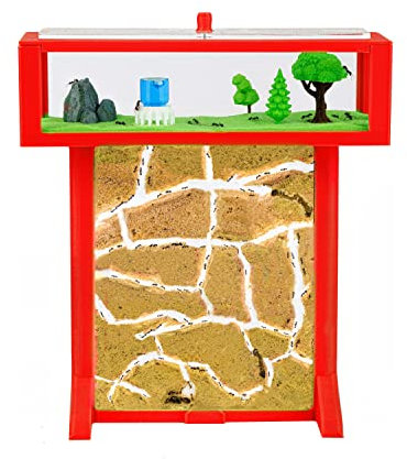 AntHouse - 3D Ameisenfarm aus Sand | Rot T Kit 15x15x1,5 cm | Inklusive Ameisen