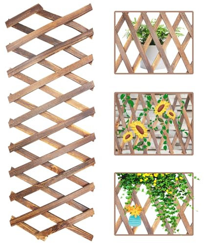 LANZLC Valla Extensible, 200 x 30cm Celosia Madera, Paneles De Celosía, Celosia Jardin, Celosías Trepadoras De Plantas Extensibles, Enrejado de Jardín Expandible, Valla De Pino Extensible