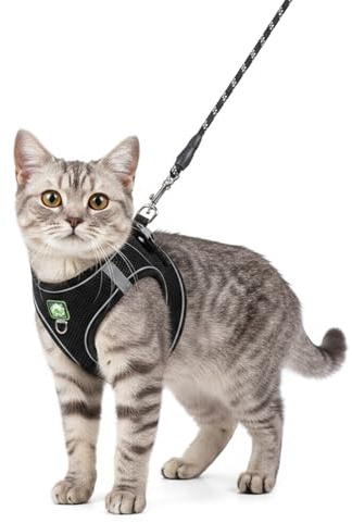 Solvio Cat Harness and Lead Set Escape Proof, Adjustable Soft Mesh Kitten Harness with Reflective Strips, Breathable Cat Vest for Walking, Lightweight Outdoor Jacket for Small Medium Cats Puppy