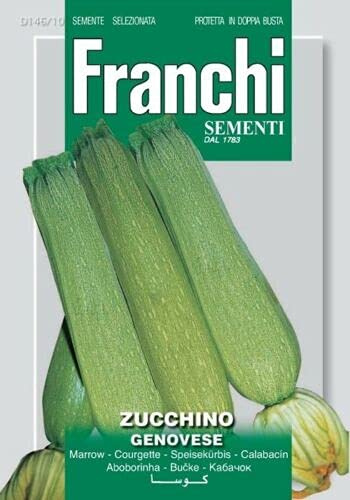 Semi Zucchino Genovese Franchi Sementi 7g