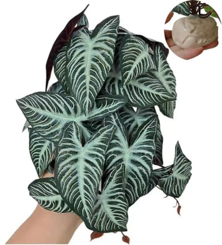 KERUIDENG Reptilienpflanzen, Terrarien-Dekoration, Amphibien-Lebensraum-Dekor, künstliche Pflanzen für Gecko, Chamäleon, Schlangen, Schildkröte, Tank-Zubehör mit Sockel (Xanthosoma sagittifolium)