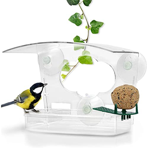 WILDLIFE FRIEND I Mangeoire à Oiseaux pour Fenêtres - Transparent avec Mangeoire, Boule de Graisse, Bain d'oiseaux I pour Oiseaux Sauvages