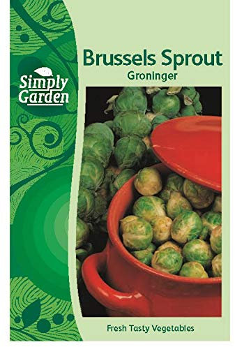 Simply Garden Brussels Sprout Groninger Seeds Vegetable Grow Your Own Garden