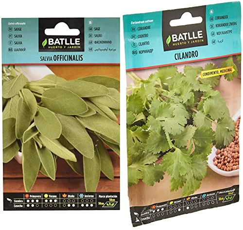 Salvia OFICINALIS & Batlle Semillas Aromáticas, Cilantro