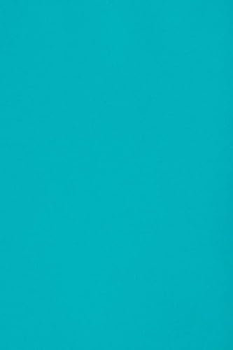 Netuno 10 cartoncini colorati blu formato A3 297 x 420 mm Burano Azzurro Reale cartoncini stampabili fai da te biglietti da visita augurii bomboniere fogli colorati carta da zucchero