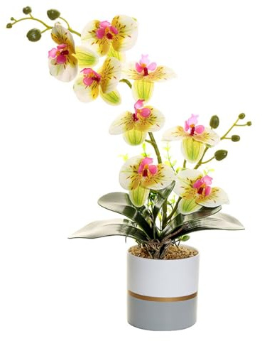 Generico Fiore di Orchidea Artificiale Giallo a Due Punte Fiori in Silicone Phalaenopsis Phalaenopsis a Otto Teste con Vaso di Fiori Fiore di Farfalla di Simulazione Bianco in Vaso (giallo)