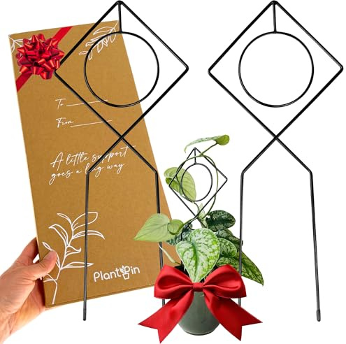 Estaca de metal para plantas trepadoras de interior, potos, monstera, filodendro y vides, accesorios de decoración de plantas, tamaño: 43 x 17 cm (Boho, negro)