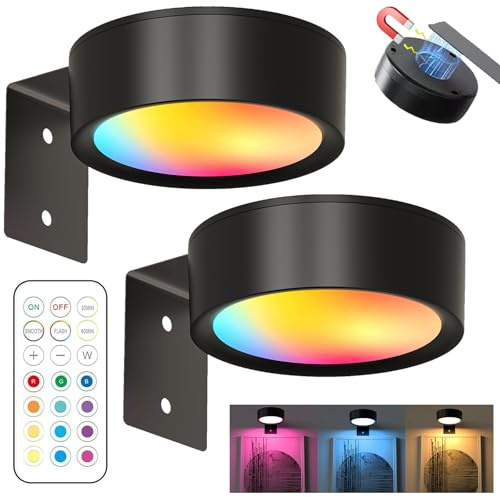YOUYIKE 2 Luce per Quadri Senza Fili con Telecomando, 13 Modalità di Illuminazione, Illuminazione a Batteria, Quadri Lampada, Applique Quadro Luci per Esposizione Pittura Vetrina (Nero)