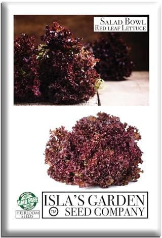 Salad Bowl Red Leaf Lettuce Seeds (Lactuca Sativa) – 1000+ Heirloom Non-GMO Seeds by Isla’s Garden Seeds, Tender Red Oakleaf Lettuce, Cut-and-Come-Again Harvests, Cool-Season, for Beds or Containers