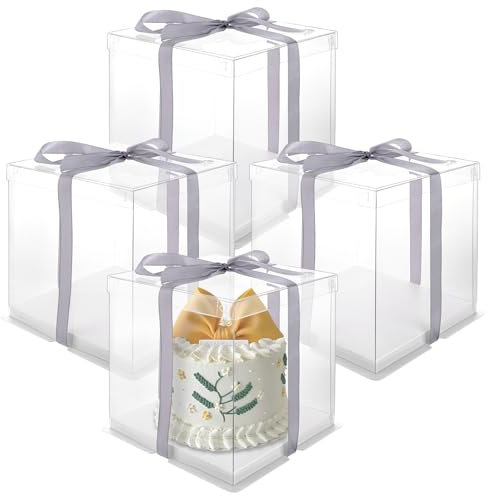 LDXDRU 4 scatole per torte trasparenti, 22 x 22 x 24 cm, con coperchio e nastro
