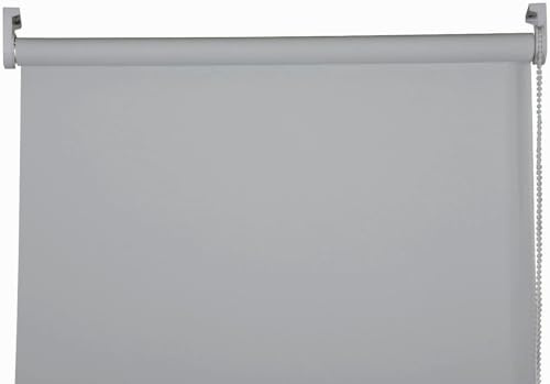 Apex Furnishings Light Grey Blackout roller blinds for windows, Thermal Insulated UV Protection Child Safety Trimmable Easy Fit Home office Window Blinds W 60cm x L 165cm