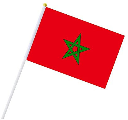 Rockreyoa Mini Drapeaux Portés à la Main Drapeau du Monde Stick Drapeaux Main Mini Drapeau National pour Défilés, Compétitions Sportives, Vacances Internationales, Drapeaux du Monde Maroc