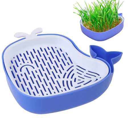 Kattgräs odling kit – valform gräskruka | lager design inomhus | trädgårdsbrickor, hydroponisk ihålig planteringslåda, soillness groddbricka för husdjur, kattungar, husdjur 16,5 x 14,5 x 4,5