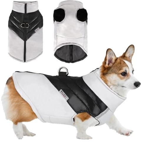 TYXHXTF Abrigo Cálido Impermeable para Perros, Resistente al Viento, Chaqueta para Perros, Abrigo para Perro, para Pequeño y Mediano (Gris)