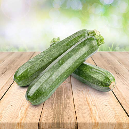 Courgette 25 x graines - Du Portugal 100% Naturel Sans Aide à La Culture Chimique Ni Génie Génétique, Juste de la Nature Pure