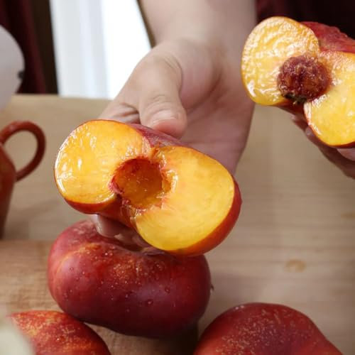 pfirsichbaum samen, winterharte stauden, kübelpflanzen winterhart hochbeet, säulenobst winterhart kletterpflanzen winterhart, säulen obstbäume exotische pflanzen, balkon pflanzen 35pcs