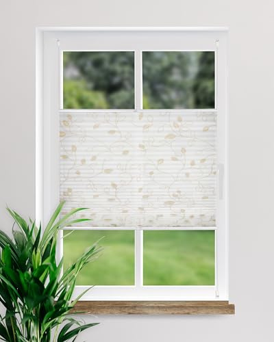 DECOLIA by Garesa Fenster Klemmfix Plissee ohne Bohren Motiv Ranke 120 x 130 cm, Creme - Lichtdurchlässiger Fenster Sichtschutz und Fenster Deko, Faltrollo