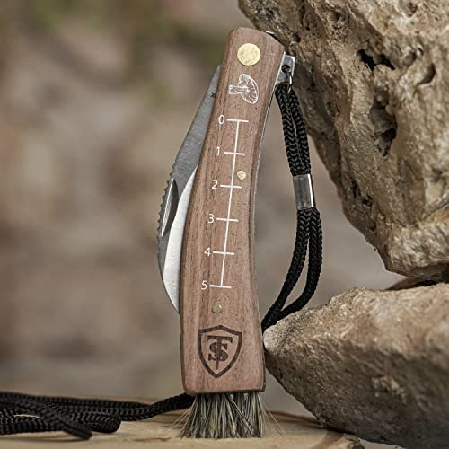 Pilzmesser | TS-Taschenmesser für Pilze | Champignonmesser | Kesselmesser | Edelstahl | Pilzmesser | Taschenmesser im Lieferumfang enthalten | Mycologisches Taschenmesser | Setera 18752