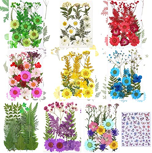 Cayway 8 Packung Getrocknete Blumen Natürliche Trockenblumen für Epoxidharz für Harz, Getrocknete Gepresste Blätter, Natürliche Trockene Blätter für DIY Harz Schmuck Nail Crafts Art Blumendekoration