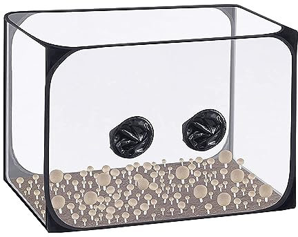 Valentigrl Großes Pilzzucht-Set, Pop-Up-Pilz-Zelt, Pflanzenkeimung, stille Luftbox, tragbar, faltbar, Pilzzuchtbehälter, 90,9 x 58,9 x 57,9 cm, Schwarz