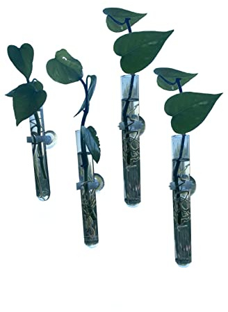 Window Propagation Vases, Glass Test Tubes Vases with Suction Cups for Propagation, hydroponic projects, Home Decor, Car Decor, Bathroom Decor Pack of 4