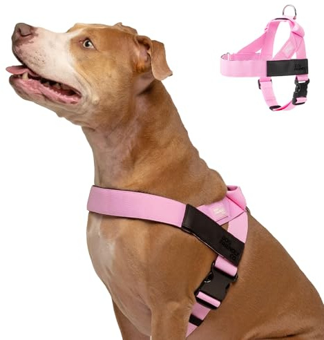 DF Co. Dog Harness | Chafe Resistant Webbing, Adjustable Neck & Chest, and Heavy Duty D-Ring | Sturdy, Comfortable, Easy to Use | Pink, Size L